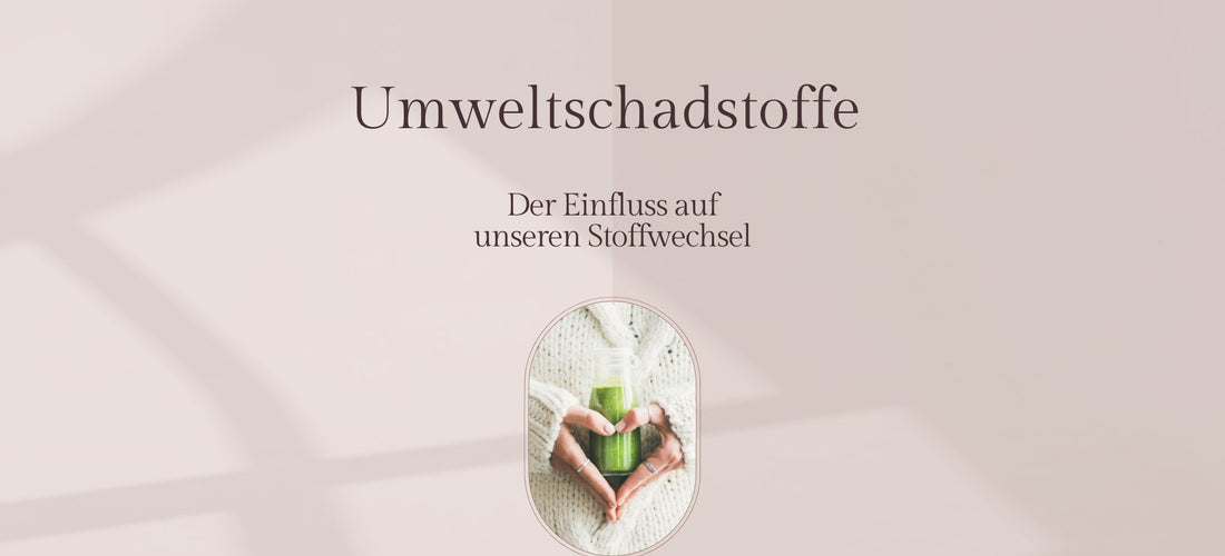 Umweltschadstoffe und ihr Einfluss auf unseren Stoffwechsel