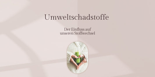 Umweltschadstoffe und ihr Einfluss auf unseren Stoffwechsel
