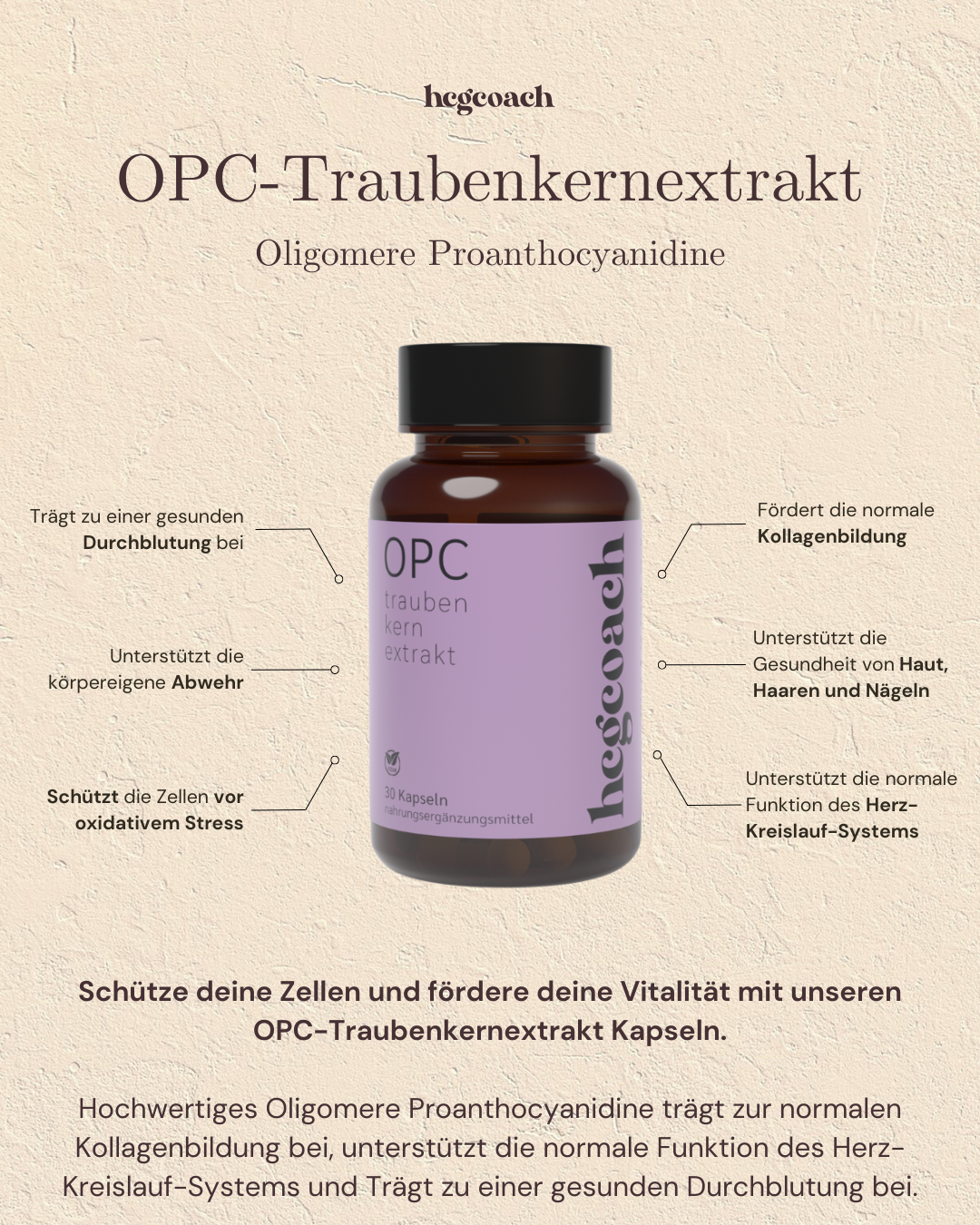 hCGC® OPC-Traubenkernextrakt Kapseln (30 Stück á 445 mg)