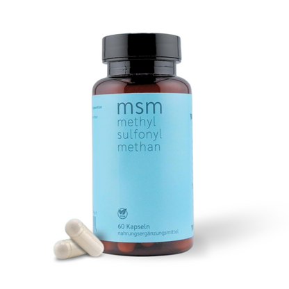 hCGC® MSM Kapseln (60 Stück á 645 mg)